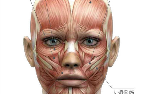 顔筋エクササイズエステ